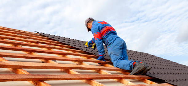 Best Flat Roofing  in Long Lake, MN